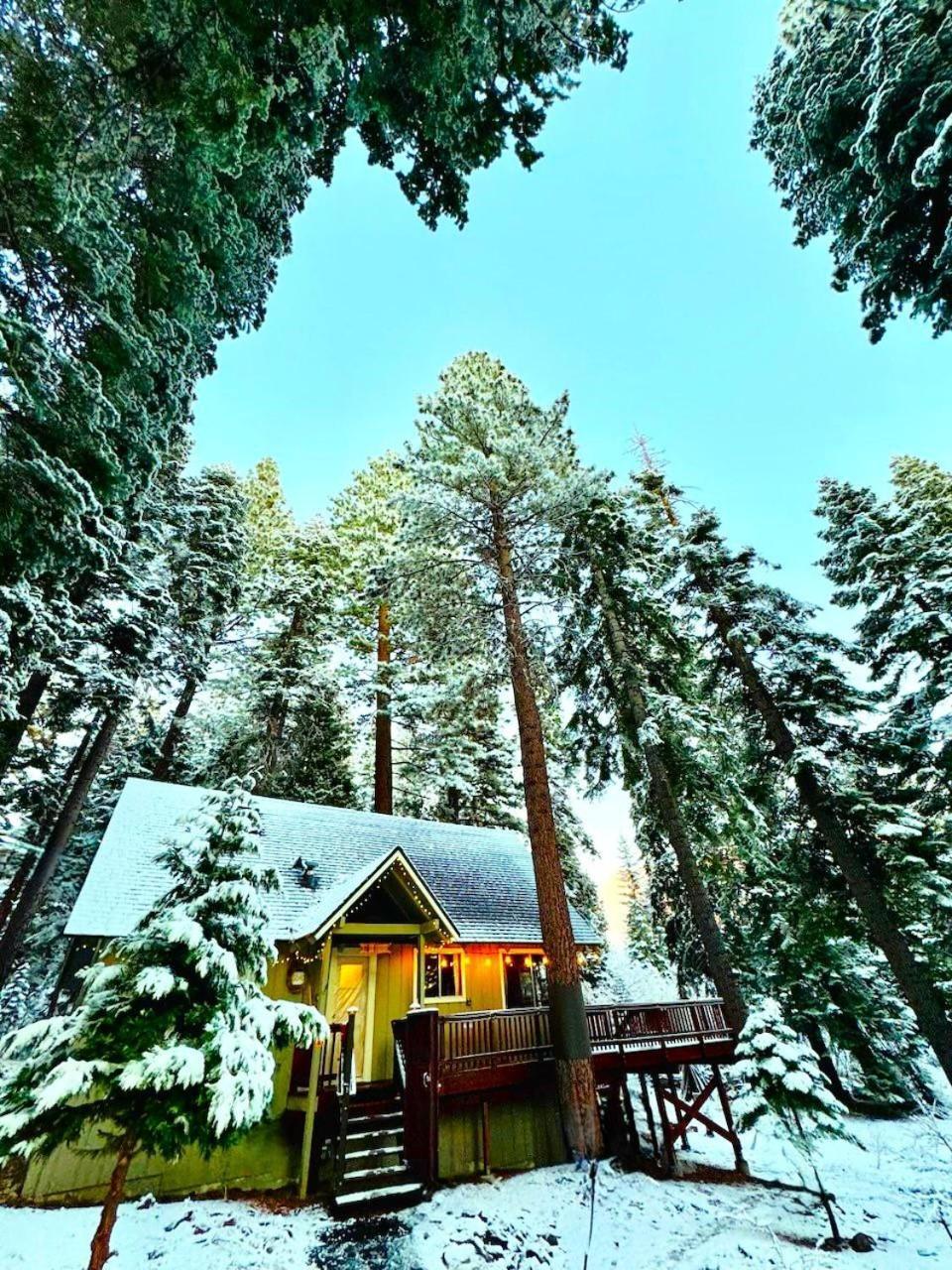 The Honey Bear Cabin Carnelian Bay Dış mekan fotoğraf