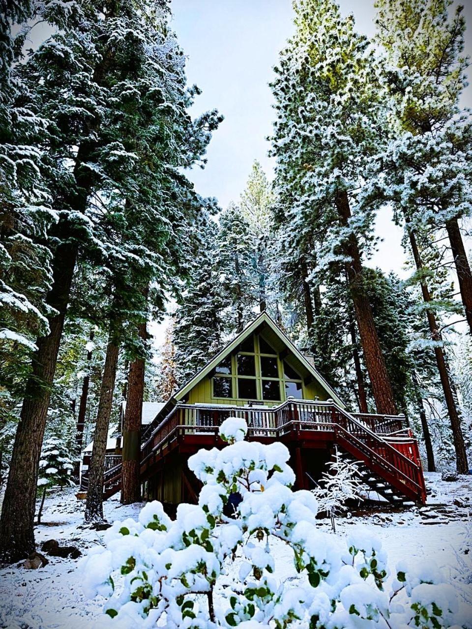 The Honey Bear Cabin Carnelian Bay Dış mekan fotoğraf