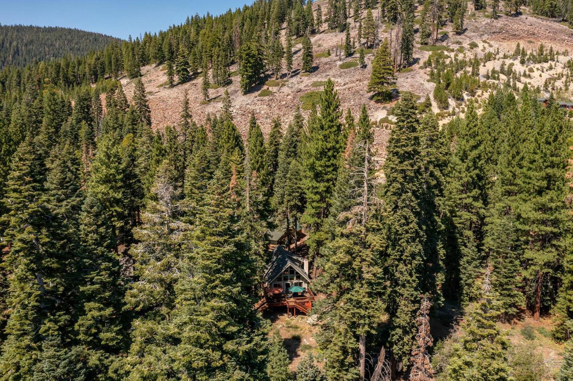 The Honey Bear Cabin Carnelian Bay Dış mekan fotoğraf